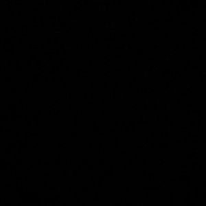 Meet your Posher, Mariam